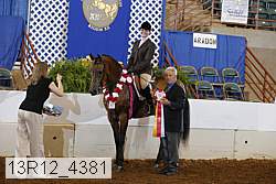 13r12_4381 thumbnail