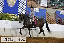 13r12_4452 thumbnail