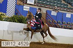 13r12_4529 thumbnail