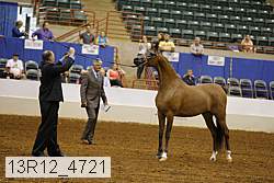 13r12_4721 thumbnail