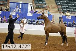 13r12_4722 thumbnail