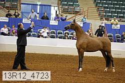 13r12_4723 thumbnail