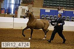 13r12_4724 thumbnail
