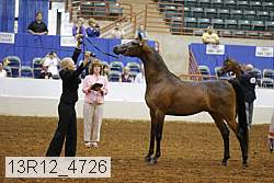 13r12_4726 thumbnail
