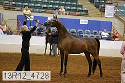 13r12_4728 thumbnail
