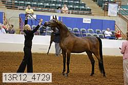 13r12_4729 thumbnail