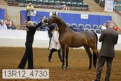 13r12_4730 thumbnail