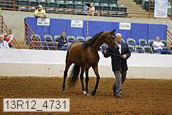 13r12_4731 thumbnail