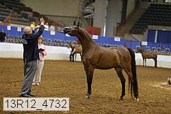 13r12_4732 thumbnail