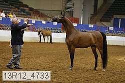 13r12_4733 thumbnail