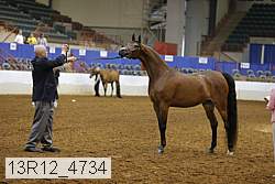 13r12_4734 thumbnail