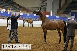 13r12_4735 thumbnail