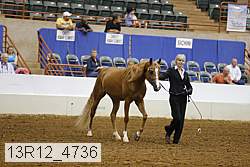 13r12_4736 thumbnail