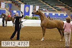 13r12_4737 thumbnail