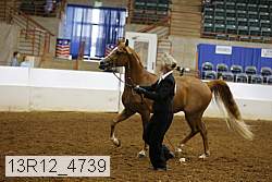13r12_4739 thumbnail