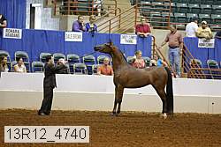 13r12_4740 thumbnail