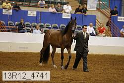 13r12_4741 thumbnail