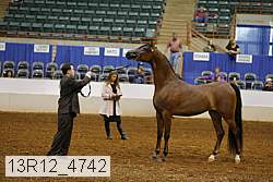 13r12_4742 thumbnail