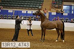 13r12_4743 thumbnail