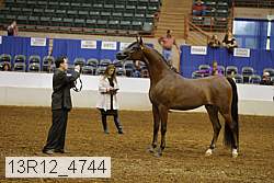 13r12_4744 thumbnail