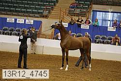 13r12_4745 thumbnail