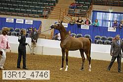 13r12_4746 thumbnail