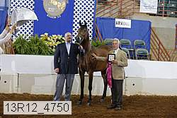 13r12_4750 thumbnail