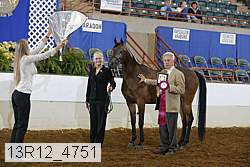 13r12_4751 thumbnail