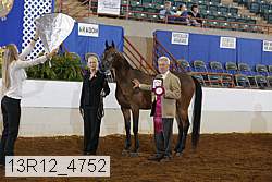 13r12_4752 thumbnail
