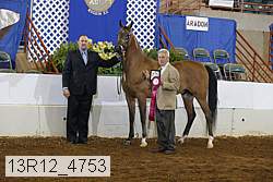 13r12_4753 thumbnail
