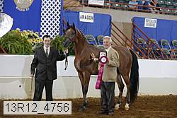 13r12_4756 thumbnail
