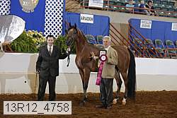 13r12_4758 thumbnail