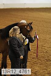 13r12_4761 thumbnail