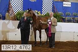 13r12_4762 thumbnail