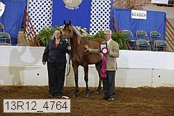 13r12_4764 thumbnail