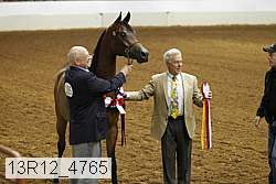 13r12_4765 thumbnail