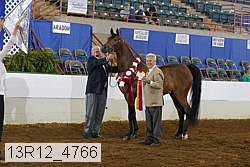13r12_4766 thumbnail