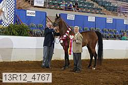 13r12_4767 thumbnail