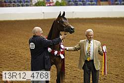 13r12_4768 thumbnail
