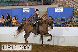 13r12_4999 thumbnail