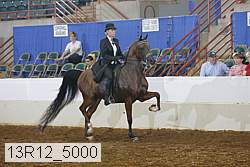 13r12_5000 thumbnail