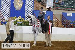 13r12_5004 thumbnail