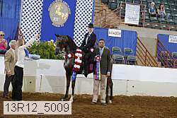 13r12_5009 thumbnail