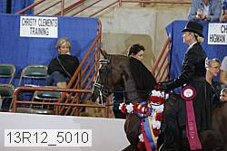 13r12_5010 thumbnail