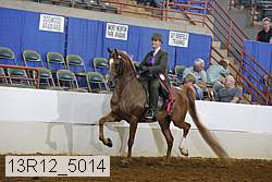 13r12_5014 thumbnail