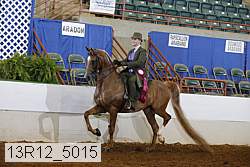 13r12_5015 thumbnail