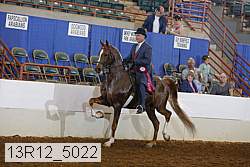 13r12_5022 thumbnail