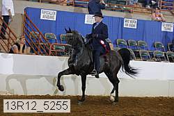 13r12_5255 thumbnail
