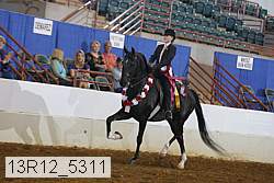 13r12_5311 thumbnail