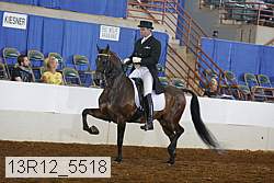 13r12_5518 thumbnail